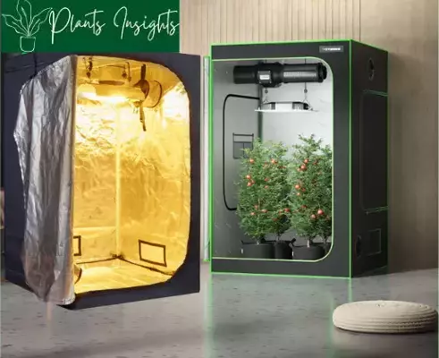 Best Grow Tent for Quality Grow