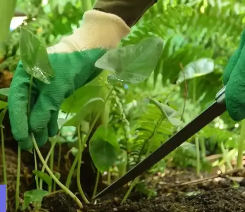 right time of propagation