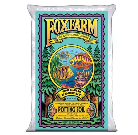 potting soil for aroid plants